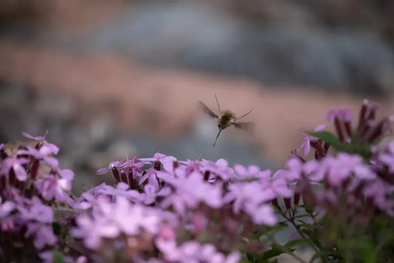 IMG_2800 export Insta 2023_05_06