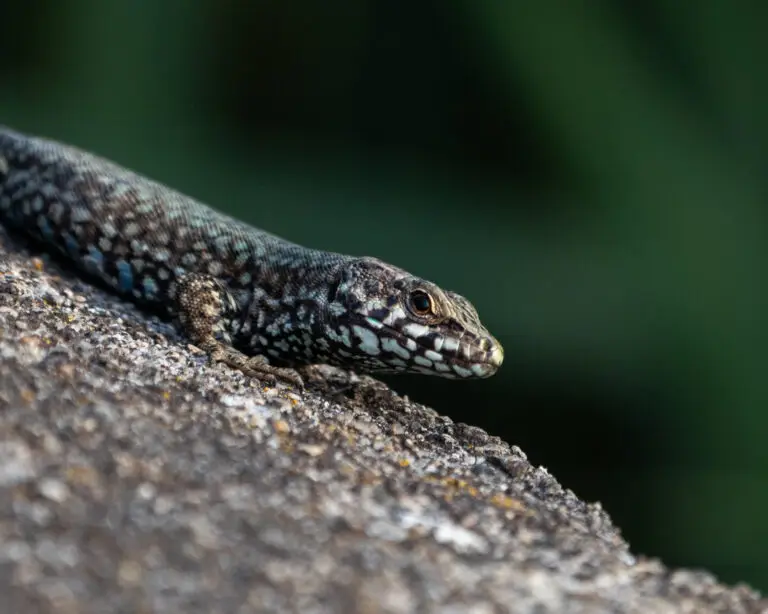 IMG_2889 export Insta 2023_06_17