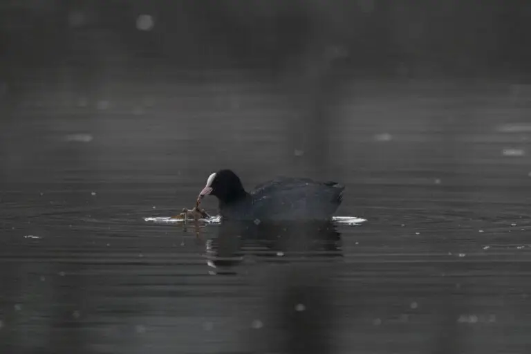 IMG_5573 export Insta 2024_01_29