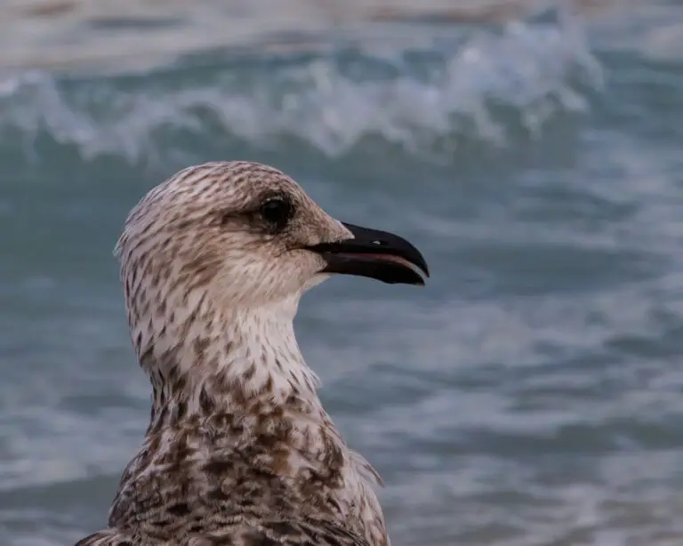 _MG_5163-Verbessert-RR export Insta 2023_10_17