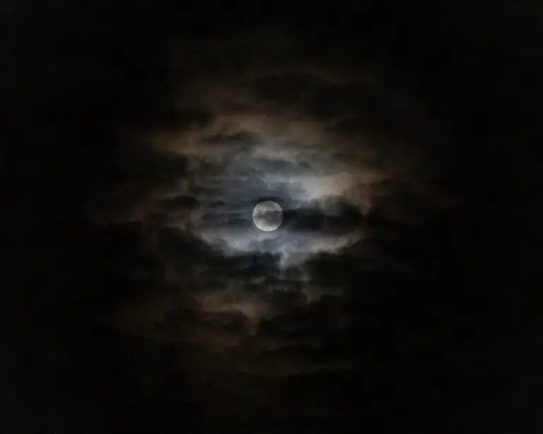 _MG_5209 export Insta 2023_12_27